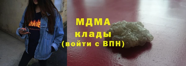 индика Ельня