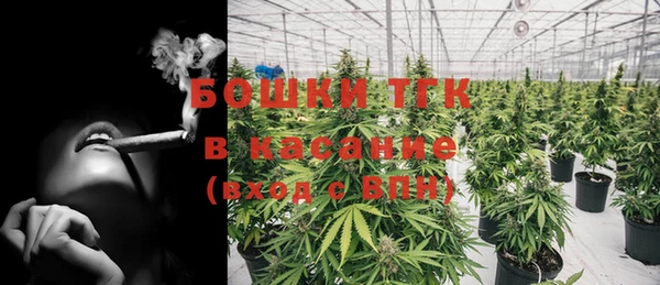 шишки Нефтекумск