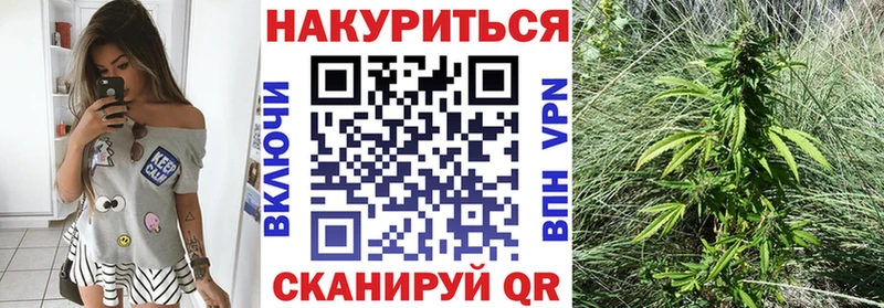 Бошки Шишки индика  hydra зеркало  Починок 